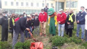 Proyecto de arborización se afianza en la región