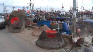 Demandan a pescador que fue sorprendido con redes para extraer centollas