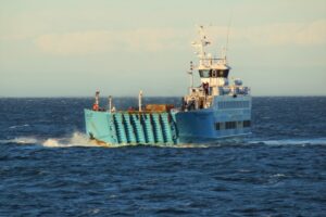 Ferry Crux Australis se vio afectado por temporales en Magallanes