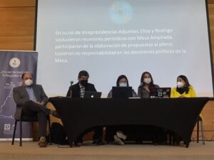 A tres meses de la Convención, constituyentes magallánicos realizan cuenta pública
