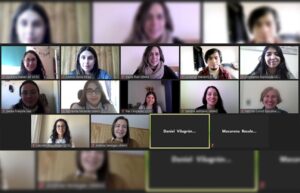 Profesionales de Punta Arenas y Concepción intercambiaron sus experiencias docentes