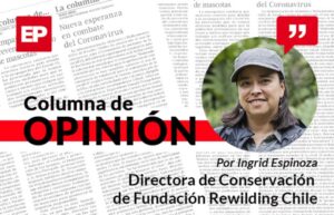 Conservando el Archipiélago de Humboldt