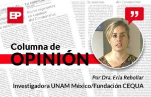 La vida invisible al ojo humano