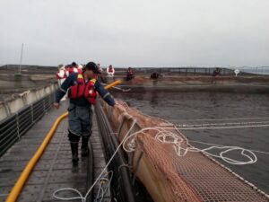 Dos importantes proyectos acuícolas serán evaluados mañana por el SEA