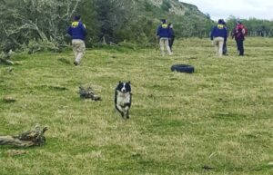 Activan Sistema de Protección Civil por joven desaparecido