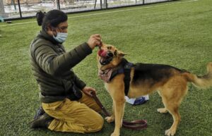 Vecinos de Cabo de Hornos se capacitaron en el cuidado y educación de sus mascotas