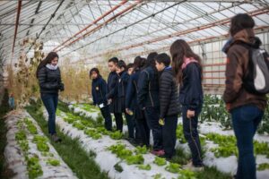 Este viernes se celebra el Día de la Fascinación por las Plantas