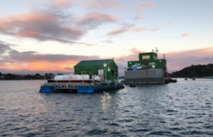 Gasco GLP y Nova Austral firman contrato para migrar de diésel a Gas Licuado en centros de cultivos