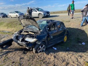 En insólito accidente una mujer resultó lesionada al chocar su auto con un ñandú