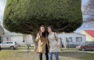 Candidatas al Parlamento respaldaron programa de gobierno de Boric