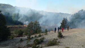 Incendio forestal arrasó con 100 metros de arbustos, pastizales y árboles