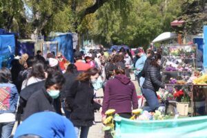 Las floristas volvieron a sacar cuentas alegres