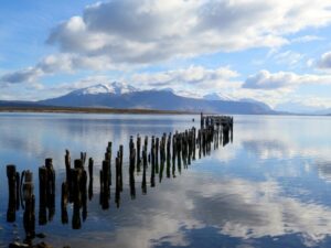 Ingresan proyecto de inversión por un millón de dólares en Puerto Natales
