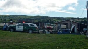 Detectan faenamiento clandestino en parcela