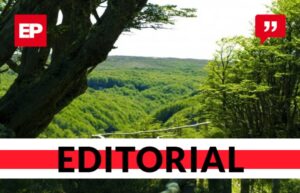 Respeto medioambiental en una prístina región