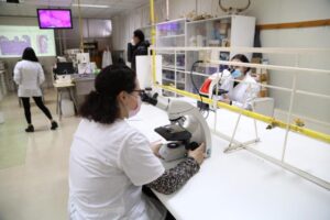Estudiantes de educación superior reportan menos de un 20% de presencialidad en Magallanes