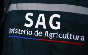 SAG no es parte querellante de juicio por “mega abigeato”
