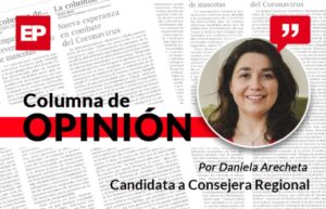 Necesidad de tener un Consejo Regional representativo de los magallánicos
