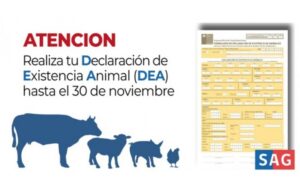SAG Magallanes hace llamado a pecuarios a emitir Declaración de Existencia Animal