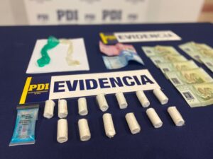 Ejemplar canino frustra el ingreso de casi 130 gramos de cocaína a Magallanes