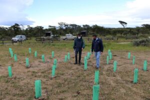 Finalizan obras de silvicultura preventiva de Conaf en Parque Chabunco