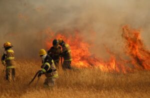 Gobierno decreta emergencia agrícola para Quillón