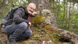 “Los líquenes pueden ser usados para medir impacto de minerales pesados, contaminación y radioactividad”