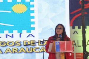 Seremi del Deporte: “Magallanes ha demostrado que puede ser sede de grandes eventos deportivos”