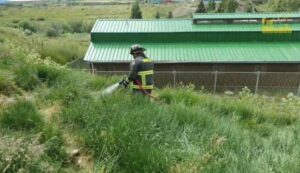 Fuego en pastizal alertó a vecino en Natales