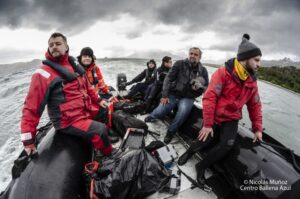 Científicos analizan extraña floración de algas en las aguas del canal Beagle