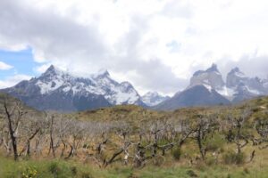 Expulsan de Torres del Paine a dos turistas por usar cocinilla en lugar prohibido
