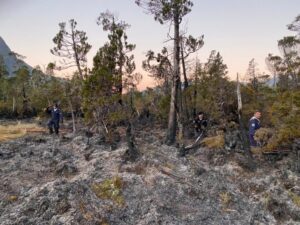 Incendio de pastizal en Puerto Edén encendió alertas