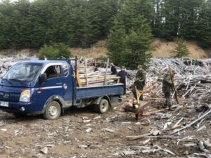 Carabineros reunió leña para vecinos de Agua Fresca