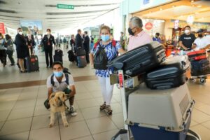 Ministerio de Agricultura entrega tips de viajes para salidas con mascotas