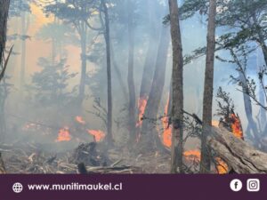 Alerta amarilla por incendio forestal a pocos kilómetros del Parque Nacional Karukinka