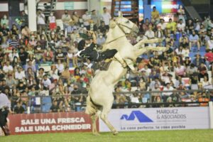 Natalino obtuvo el premio al Jinete Destacado en Festival Jesús María de Córdoba