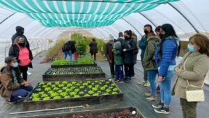 Cerca de 30 ciudadanos de San Gregorio visitaron INIA Kampenaike