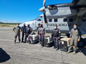 Ladridos del Sur se suma a la búsqueda de extraviado en Región de Los Lagos