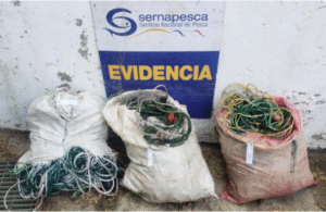 Sernapesca denuncia ante la justicia a armador que almacenaba redes centolleras
