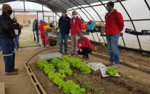 Financiarán iniciativas ciudadanas en materia medioambiental