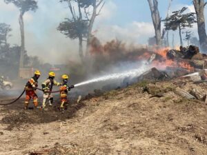 Incendio forestal en Tierra del Fuego afecta a más de 160 hectáreas de superficie