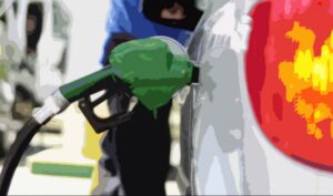 Sobre el precio de los combustibles y un sistema de transporte combinado para la Zona Austral