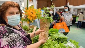 Mercado Campesino de Punta Arenas funcionará hasta febrero