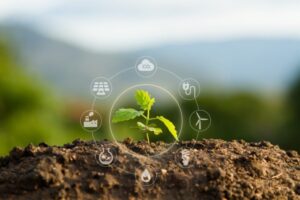 Iniciativas magallánicas contarán con Fondo de Protección Ambiental