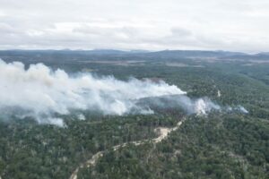 Declaran Alerta Roja en incendio forestal de Tierra del Fuego por amenaza a Parque Karukinka