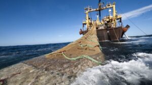 Rubro de la pesca bajó su extracción en un 0,8% en octubre de 2021