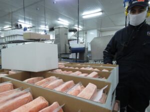 Empresa se querella por hurto de casi 230 kilos de salmón avaluado en $2,4 millones