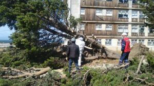 Vientos de hasta 114 kms/h provocaron estragos en Punta Arenas