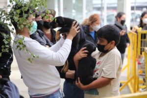 Realizan exitosa jornada de adopción de mascotas