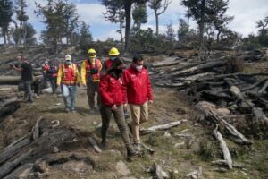 Incendio en Timaukel cumple 10 días sin ser controlado y superficie afectada alcanza 1.200 hectáreas